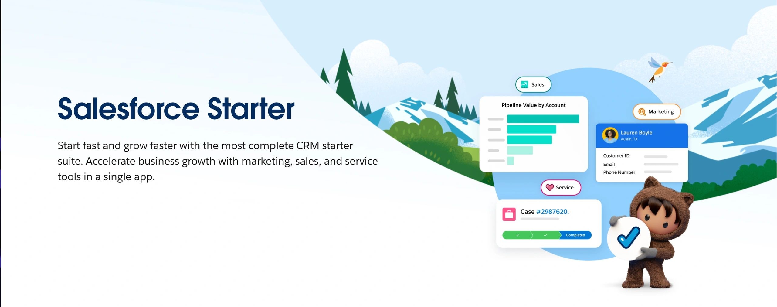 Salesforce SMB Starter Service